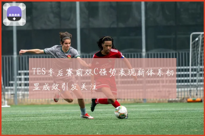 TES季后赛前双C强势表现新体系初显成效引发关注