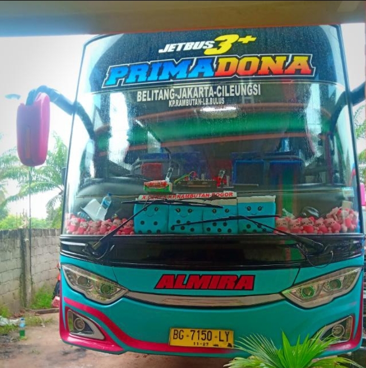 Cileungsi – Belitang: Nikmati Perjalanan Nyaman dengan Bus Almira